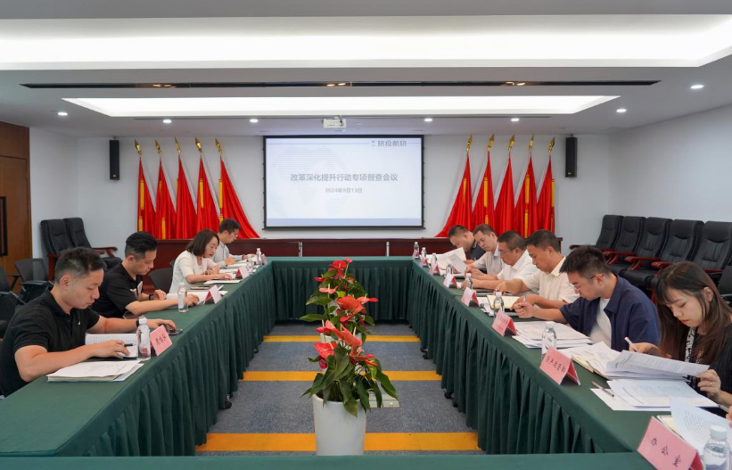 省Z6尊龙凯时集团率队督导Z6尊龙凯时航旅公司改革深化提升行动
